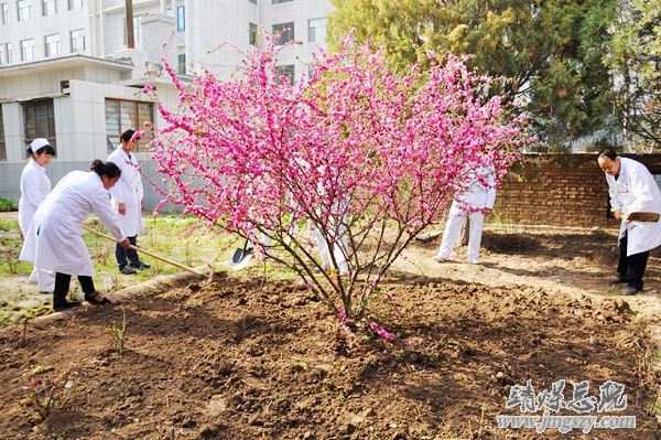 營造綠色就醫環境__建設和諧美麗醫院_———醫務人員義務勞動綠化美化醫院環境