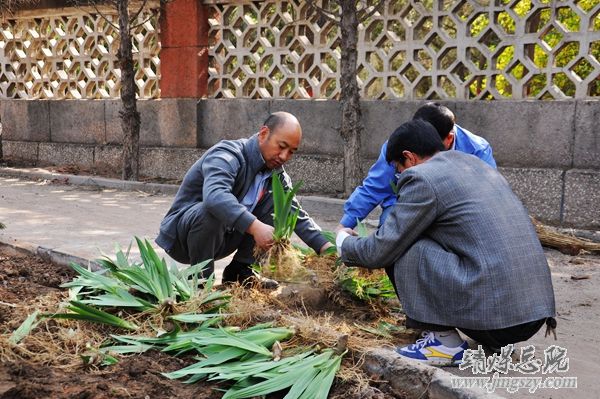 營造綠色就醫環境__建設和諧美麗醫院_———醫務人員義務勞動綠化美化醫院環境