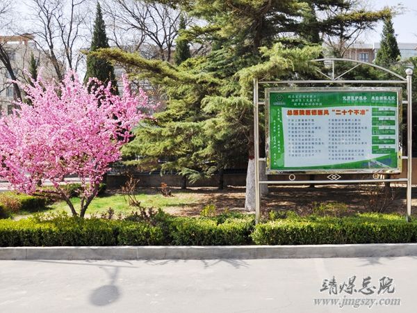 營造綠色就醫環境__建設和諧美麗醫院_———醫務人員義務勞動綠化美化醫院環境