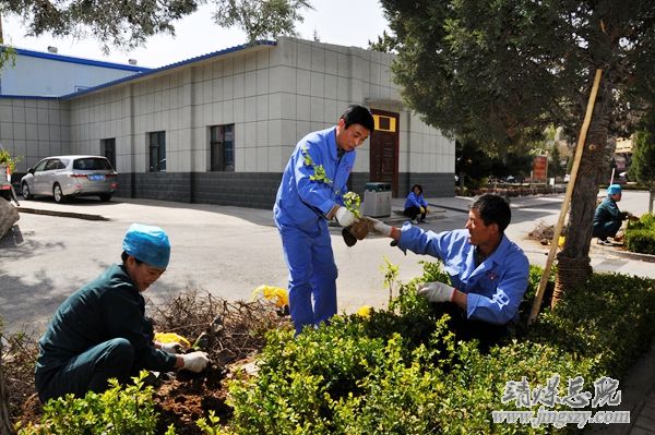 營造綠色就醫環境__建設和諧美麗醫院_———醫務人員義務勞動綠化美化醫院環境
