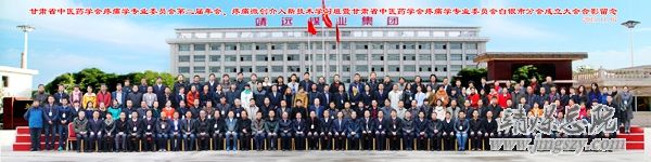 甘肅省中醫(yī)藥學(xué)會(huì)疼痛學(xué)專業(yè)委員會(huì)第二屆年會(huì)、甘肅省疼痛微創(chuàng)介入高峰論壇、甘肅省中醫(yī)藥學(xué)會(huì)疼痛學(xué)專業(yè)委員會(huì)白銀市分會(huì)成立大會(huì)在集團(tuán)召開